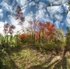 Frenzied thoughts -Fruitlands