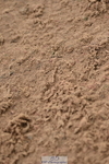 230401A-153516-03816