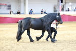 SBM_17503