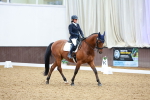 SBM_003373