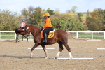 SBM_000835