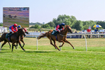 150726-Race 6-Our Absent Friends-3700