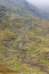 Peris Horseshoe-630