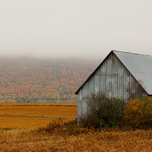 An old barn near Royalton, New Brunswick.