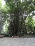 CHINA__0287