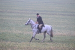 WJ7_3330
