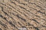 250615A-080220-09528