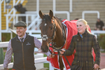 251025-Race 7-Antarctic Legend-0070