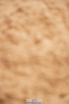 240526A-115304-07919
