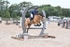 BPP_9229