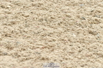 230721A-141645-06828