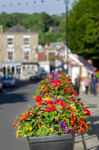 Graham Wiffen - High St - DSC_7186