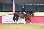 SBM_17670