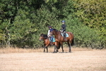 WJ6_7860