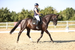 SBM_007536