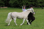 SIAL3158