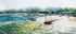 estuary