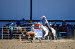 3HRodeo8-11-25_PRCASteer_01893_