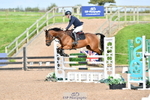 Cls 30 Snr Foxhunter portfolio
