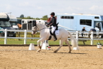 SBM_011929