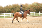 SBM_001943