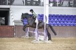 SBM_001935
