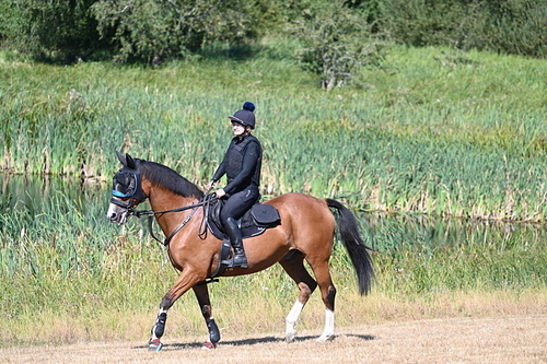 WJ7_7813