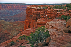 Canyonlands National Park portfolio