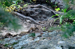 3HPhotography10-6-24_RMNP_0162_