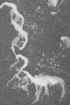 Ghosts 2
