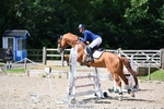 Cls 36 British Novice and 90cm Open portfolio