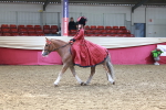SBM_13458