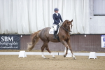 SBM_006532