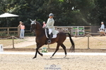 Class 8 Prix St-Georges SILVER portfolio