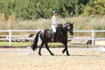 SBM_003427
