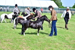SBM_03515