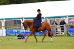 SBM_02945