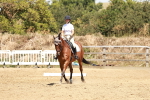 SBM_002957