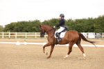 SBM_005910
