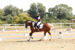 SBM_003406