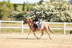 SBM_006891