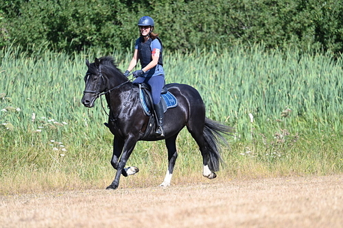 WJ7_8125