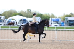 SBM_09095