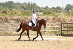 SBM_002849