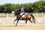 SBM_008397