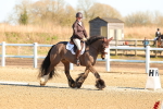 SBM_003466