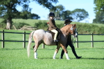SBM_35282