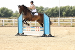SBM_001816