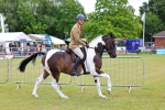 SBM_02628