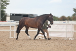 SBM_07957